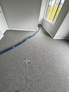 Before carpet transformation