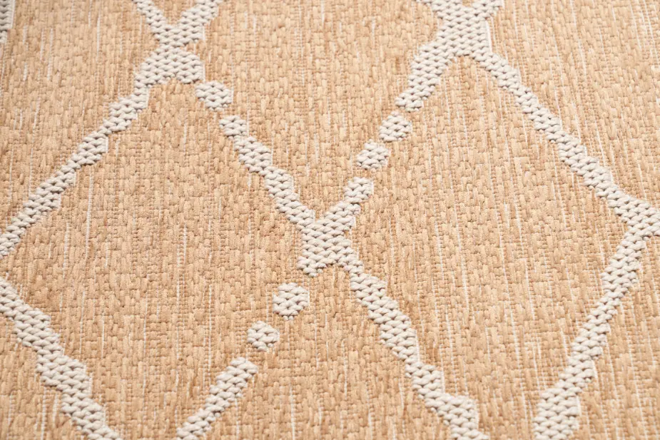 Rug Steam Cleaning