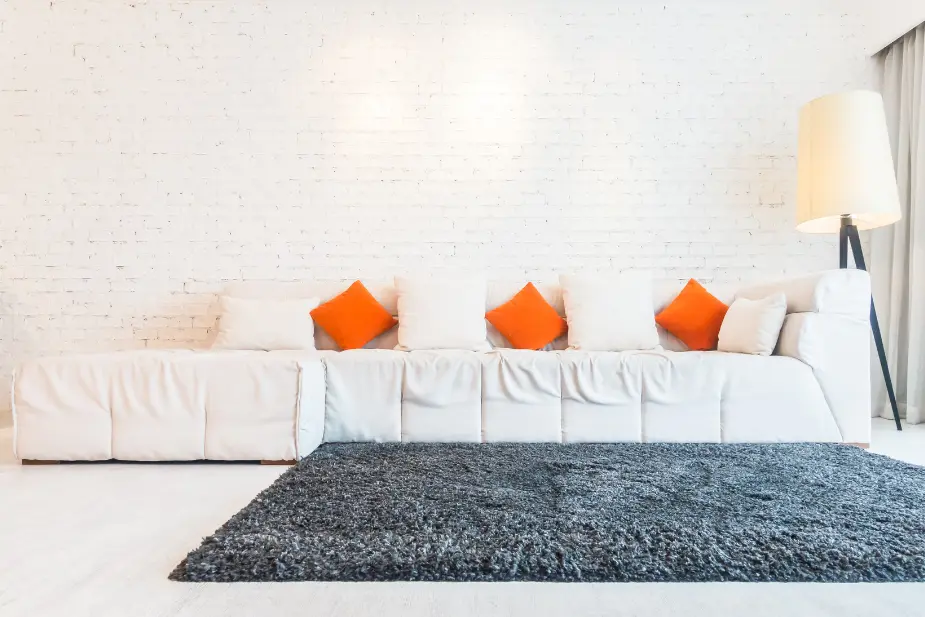 Rug Steam Cleaning Service