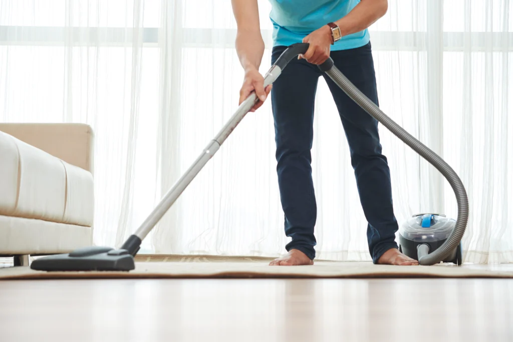Professional cleaner