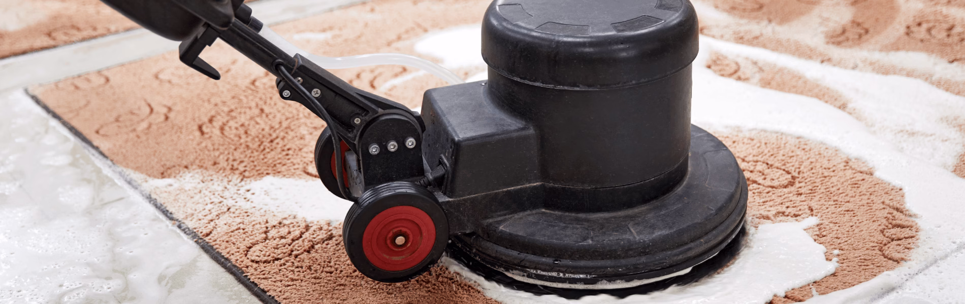 rug cleaning service melbourne