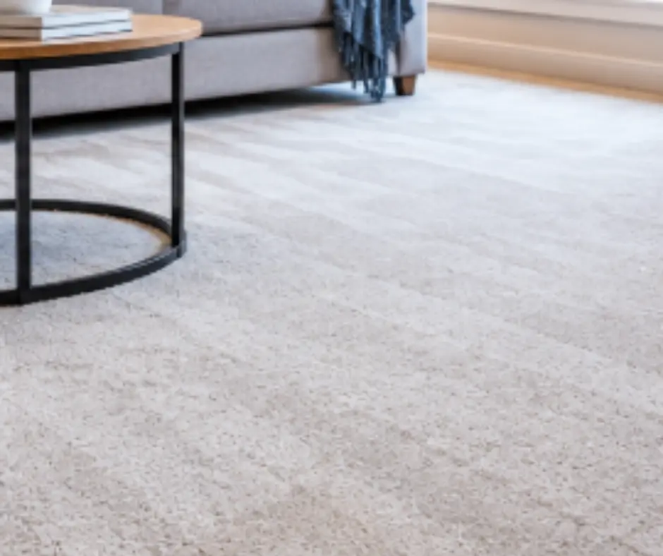 Clean and refreshed carpet in a Melbourne home after professional cleaning